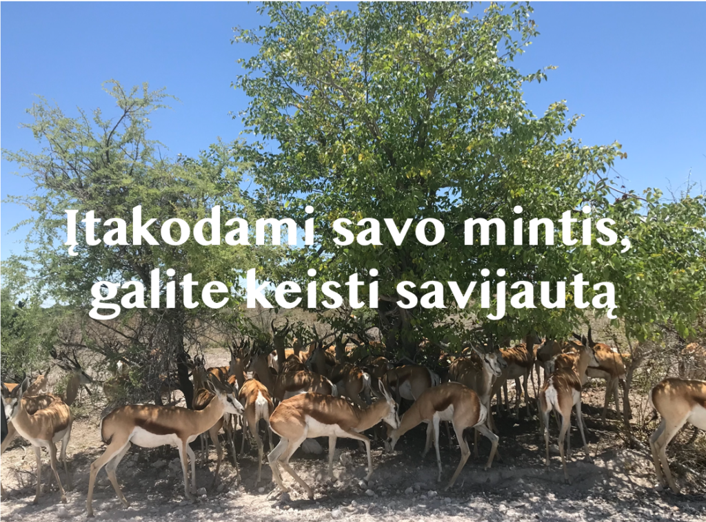 Individuali psichoterapija O kas jei mūsų įsitikinimas/ mintis yra klaidinga, neatitinkanti tikrovės, yra perdėta? O jei jas dar ir kartoju?